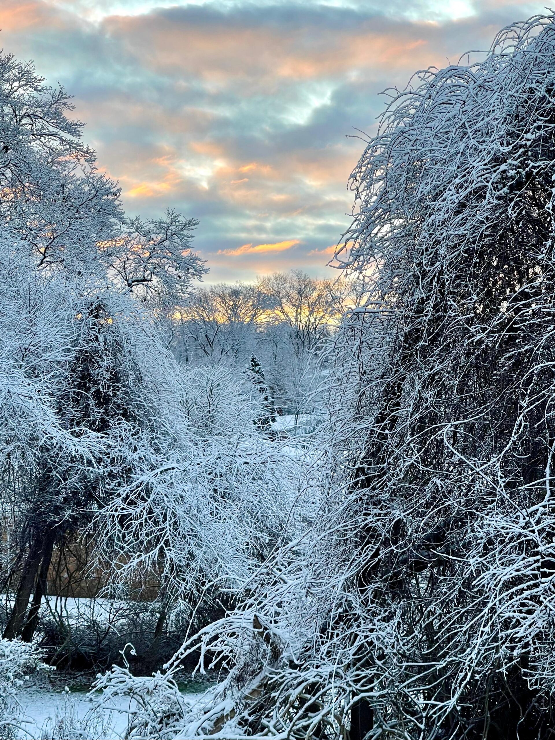 WhatsApp Image 2025-10-30 at 18.10.30_80445bc8